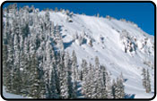 Winter Park College Ski Trips